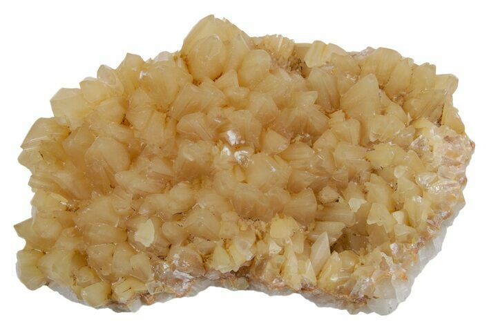 Sharp Dogtooth Calcite Crystal Cluster - Utah #360661